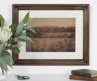 Pastural Glade I Framed Print