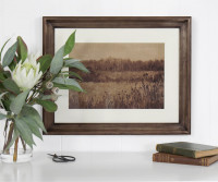 Pastural Glade I Framed Print