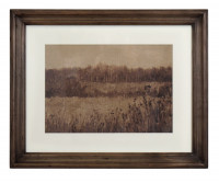 Pastural Glade I Framed Print